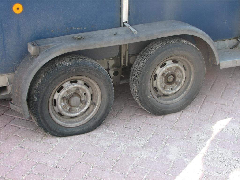 IMG_9735 (Large).jpg